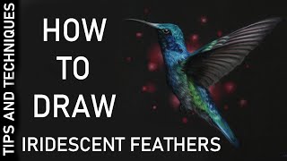 HOW TO DRAW IRIDESCENT FEATHERS | TOP TIPS FOR DRAWING IRIDESCENT FEATHERS IN PASTELS