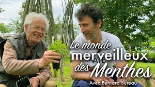 Les menthes avec Bernard Bureau.