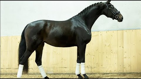 So Perfect x Sir Sinclair