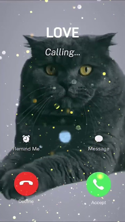 #foryou #ringtone #iphonerington #cat #iphonerigtone #apple #smartphone #iphoneringtones #iphonerin