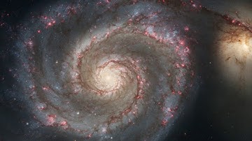 A fifth fundamental force could really exist, but we haven