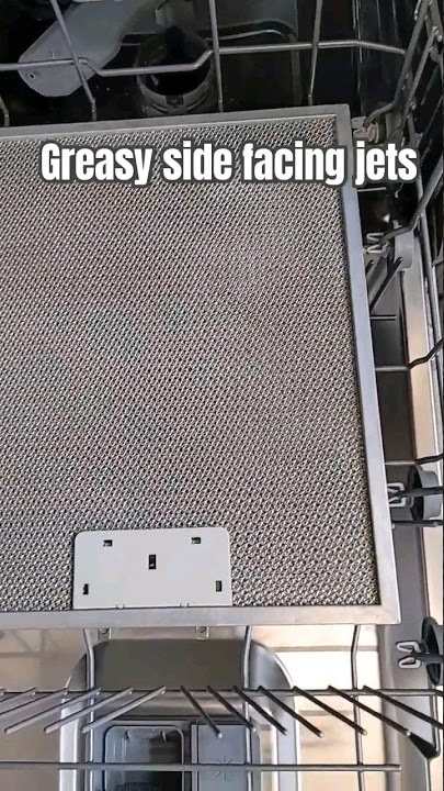 dishwasher cleaning range hood filter damage