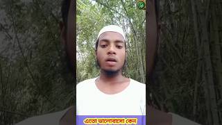 বুকের দারাজে তুমি কুরআনের বানী