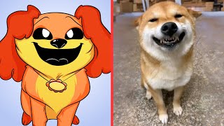 Smiling Critters - Cat Memes 😅 New Cute Cats and Dogs videos 2024😸🐶