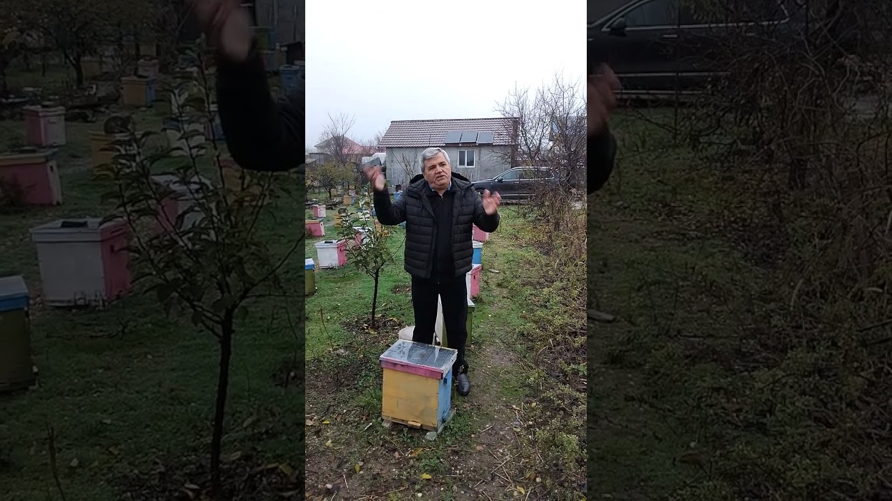 Tratamentul familiilor de albine !Partea1 