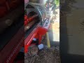 Raw wood processing factory