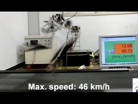 KAIST Raptor robot runs at 46 km/h, Active tail stabilization