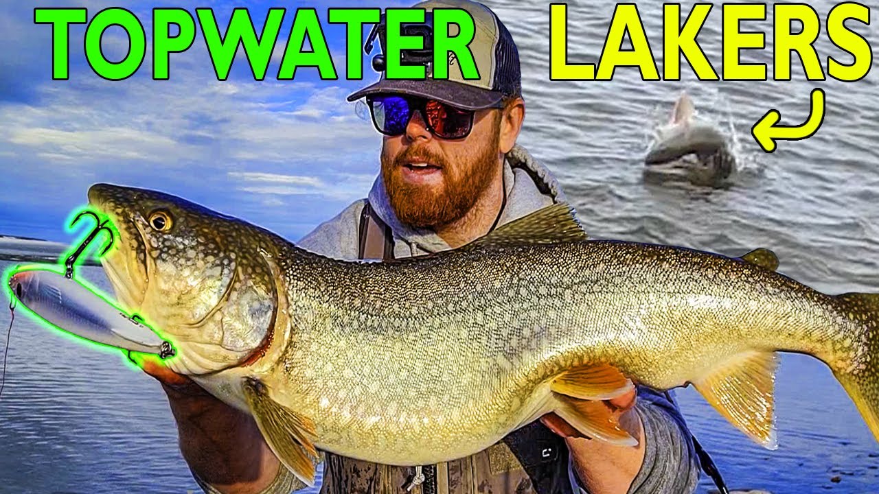 Ice Out Top Water Lake Trout From Shore!! 