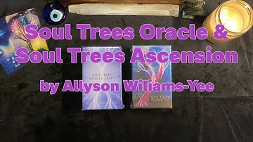 #unboxing Soul Trees Oracle plus possible tarot pairings #flipthrough #walkthrough