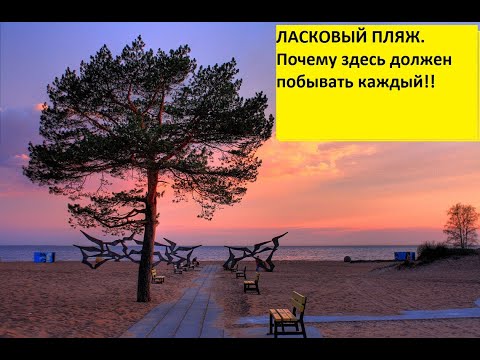 Пляж "ЛАСКОВЫЙ" Санкт-Петербург