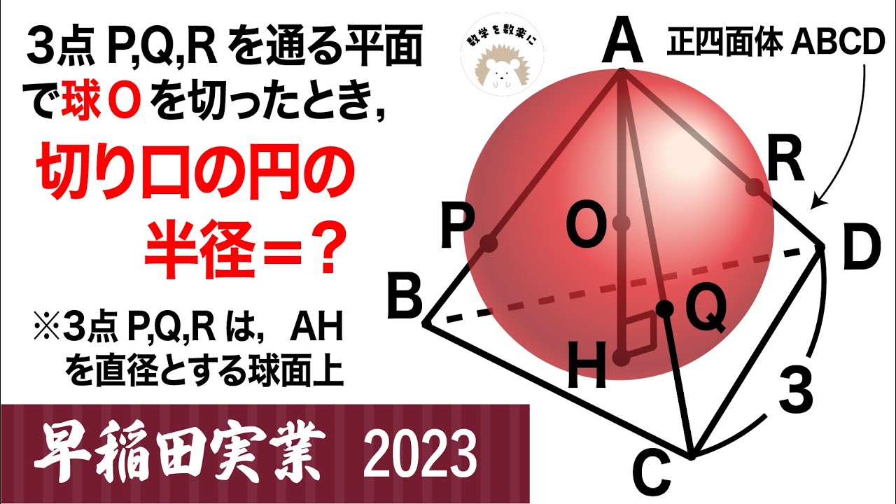 NN早稲田実業　後期　2019年度9月10月11月12月度の確認テスト、計4回分 早稲田実業学校高等部 2025年度版 【過去問7+2年分】 (高校別