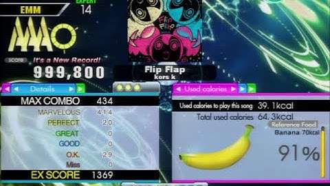 Flip Flap [Expert 14] 999,800 PFC [DDR A3]