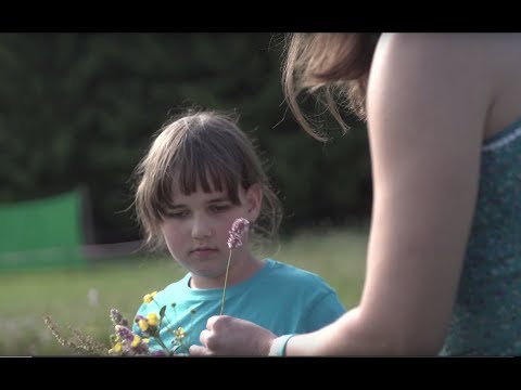 Video: Familiengesundheitsgeschichte Und Krebs