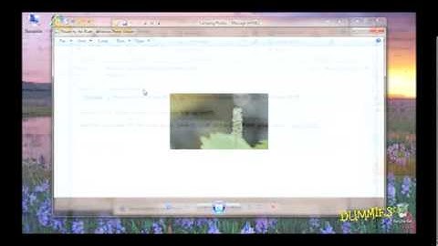 Saving and Viewing E-mail Attachments in Microsoft Outlook For Dummies