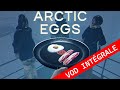 Vod arctic eggs  oeufs what 