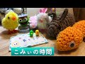 【こみぃの時間】部長のヤモリ、動画になったってよ！