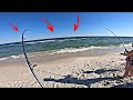 These FISH were EVERYWHERE!! -SURF FISHING