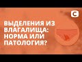 Выделения у женщин: норма и патология – Я стесняюсь своего тела