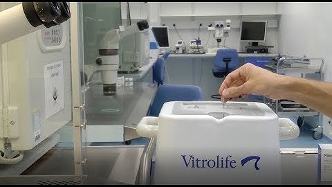 Oocyte Vitrification by Vitrolife - Short protocol