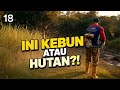 INI KEBUN ATAU HUTAN?! RUMPUT LIAR SETINGGI INI AKHIRNYA DIBERSIHKAN!#18