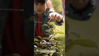 Your Voice Matters: Plant Your Own Garden #shorts