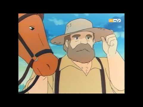 نوار الحلقة 