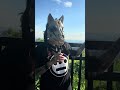 Day 6 of 30 days of Gayogo̱ho:nǫˀ Language