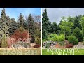 Getting An Overgrown Landscape Bed Back In Shape