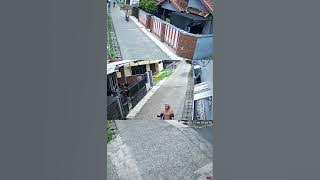 CCTV RW07 Gang 8 [09-11-2025] [12.00-18.00]