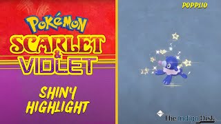 Shiny Popplio REACTION! - Pokemon Scarlet and Violet