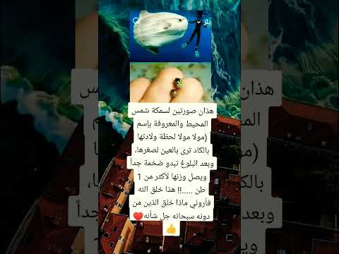 ضخمة اكسبلورجدا طن هذا خلق الله فأروني ماذا خلق الذين من دونه سبحانه جل شأنه