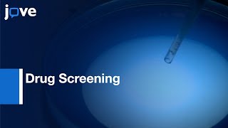 Drug Screening Of Patient Derived Tumor Xenografts Protocol Preview