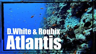 D.White \u0026 Roubix - Atlantis. New ITALO Disco, Euro Disco, Europop, music of the 80s-90s