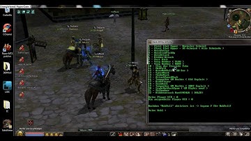 Test Metin2 Hack by .Infinity