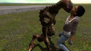 Idiots Of Garrys Mod