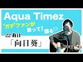 【Aqua Timez全曲カバー】22曲目「向日葵」【ガチファンが歌って語る】