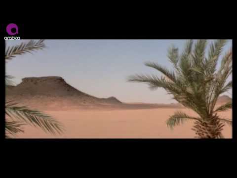 7 7  هاني شاكر أحدا أحد