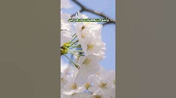 ولسوف يعطيك ربك فترضى❤💕🌷تلاوة خاشعة الشيخ أحمد العجمي💙