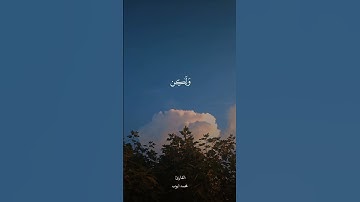تلاوة خاشعة من سورة النساء #راحة_نفسية #اكسبلور #لايك #ترند #explore #quran
