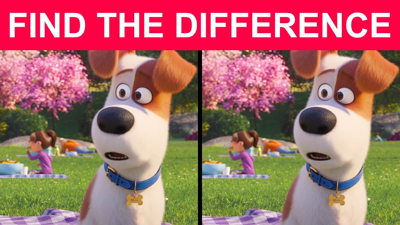Find The Difference In 25 Seconds The Secret Life Of Pets 2 Movie Puzzle Youtube