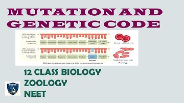 Mutation and genetic code | Molecular Genetics | 12 class | Zoology | Science Easy Tech