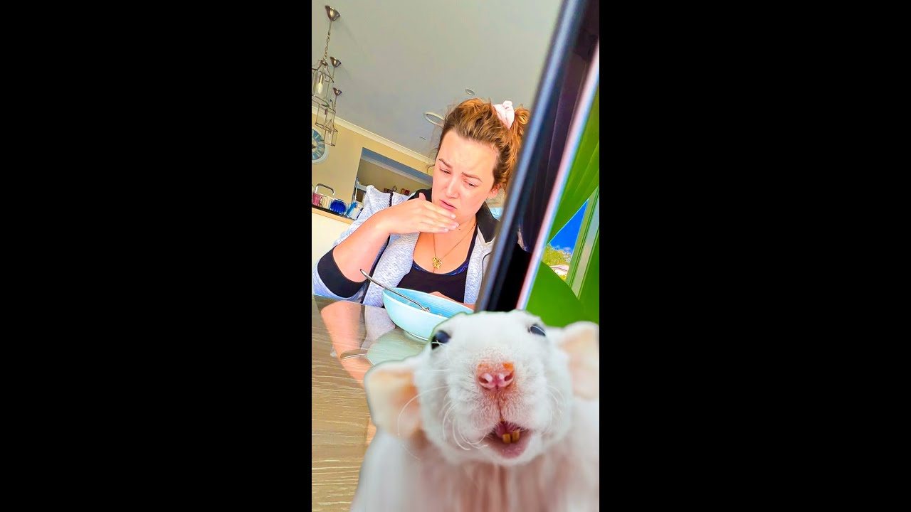 She Took the Bait!! 😂