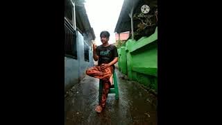 dzawin nur - terbang (video cover)