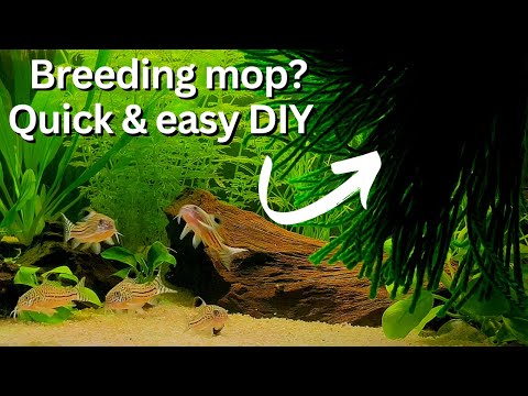 How to make breeding/spawning mop? Easy, fast DIY method!