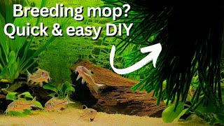 How to make breeding/spawning mop? Easy, fast DIY method!
