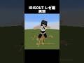 レゼダンス #shorts #マインクラフト #マイクラ #チェンソーマン