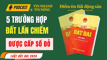 Cấp sổ đỏ đất Lấn Chiếm | Điều 139 - Luật đất đai năm 2024