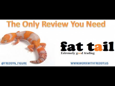 Fat Tail TV - Live Trading TV- Fat Tail TV  3 things they forgot to mention.(JV Review)