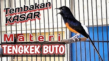 TEMBAKAN MURAI BATU MATERI KASAR SUARA TENGKEK BUTO