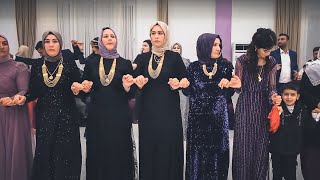 Ahmede Xürsi |  Memo AYDEMİR  |  Xürsi Aşireti DÜĞÜN Töreni  PART-3